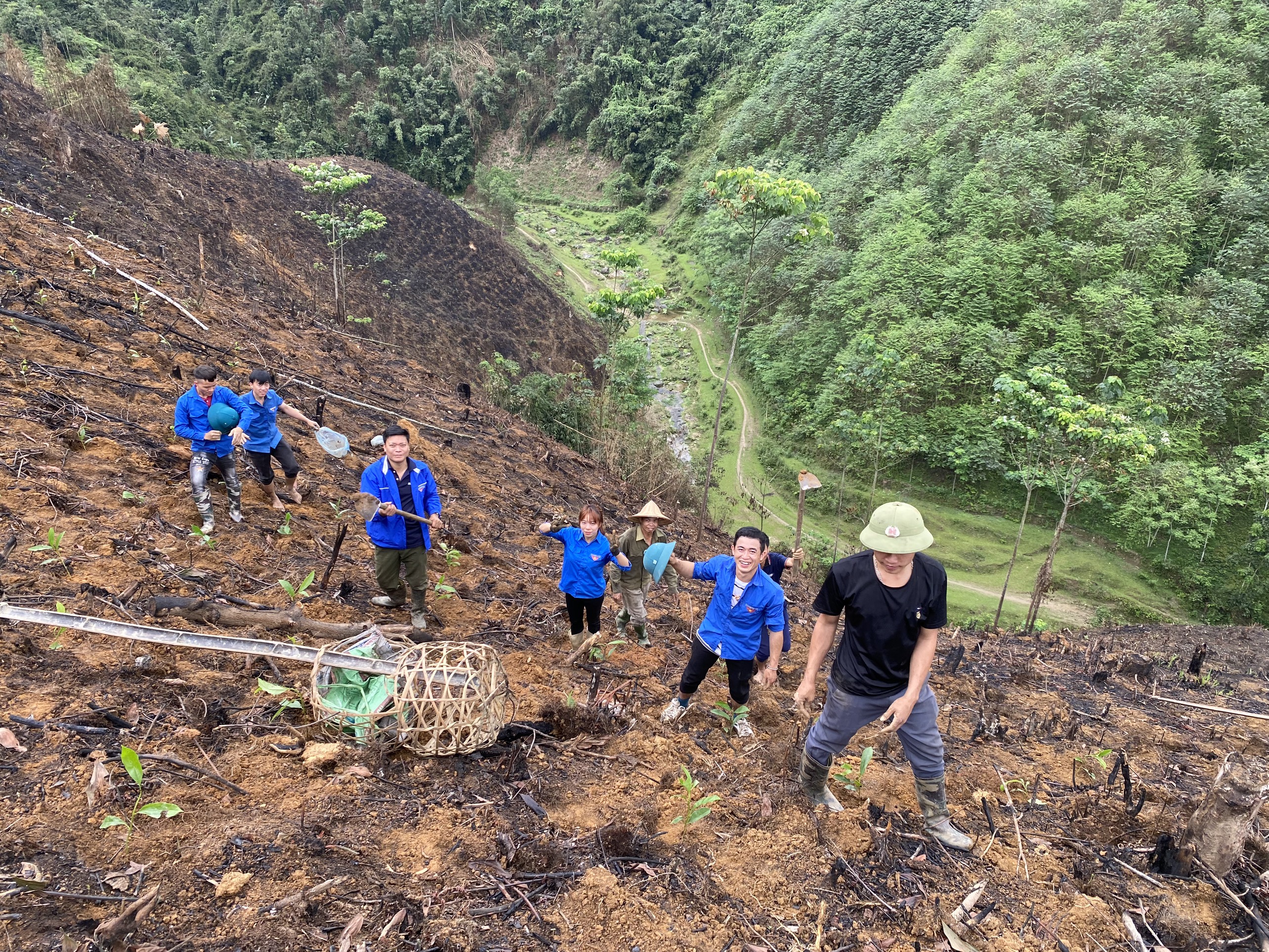 BCH Đoàn xã Yên Thành giúp đỡ hộ đoàn viên thanh niên thôn Yên Thượng trồng hơn 1000 cây quế